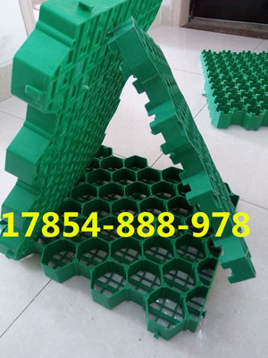 歡迎光臨、南京停車位植草格))股份丨歡迎您_南京植草格,南京停車位植草格,南京植草格公司,植草格,停車位植草格_供應信息_中國安防展覽網