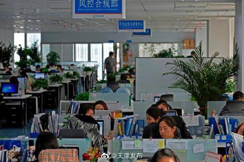 中企云鏈 以創(chuàng)新金融科技服務(wù)安心扎根，以信息技術(shù)咨詢服務(wù)舒心發(fā)展